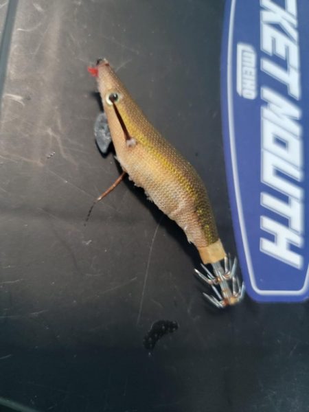 日曜日って、釣り人多い