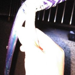 シーズン初タチウオ