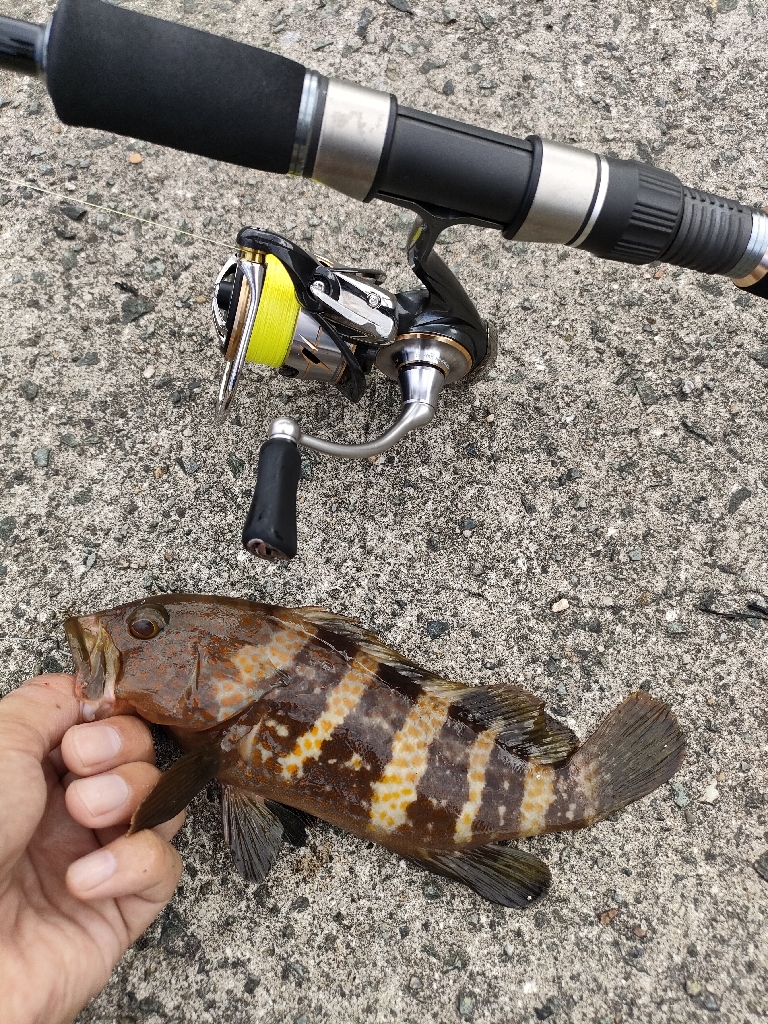 またも浜田港にて