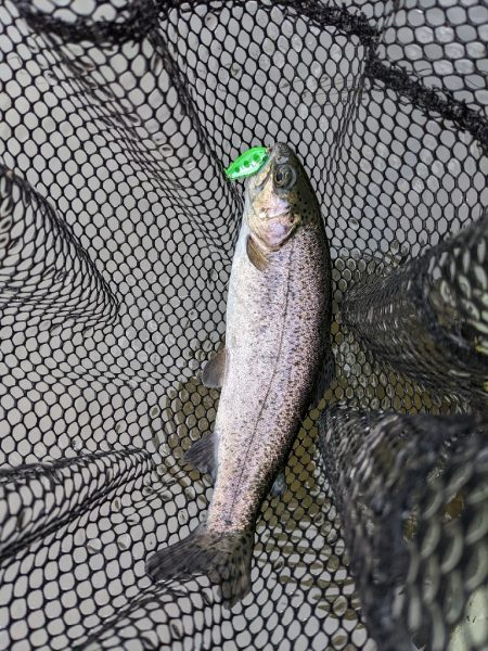 久々のエリアフィッシング〜