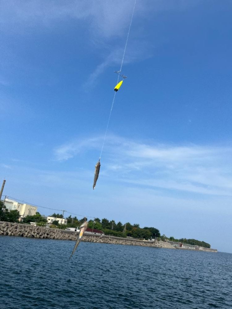 怒るで~!!しかし~・・・