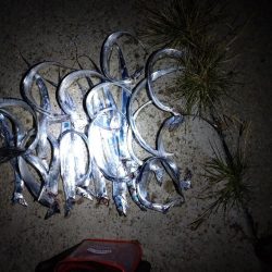 調査のつもりが初タチ