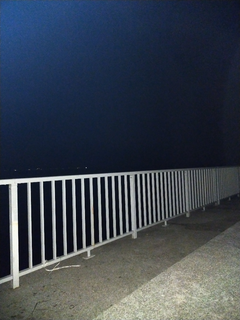 ケンサキエギング➁