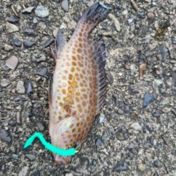 遠征(三重県前半)