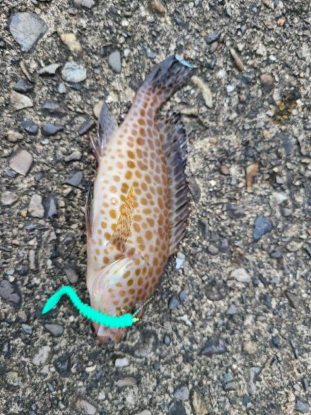 遠征(三重県前半)