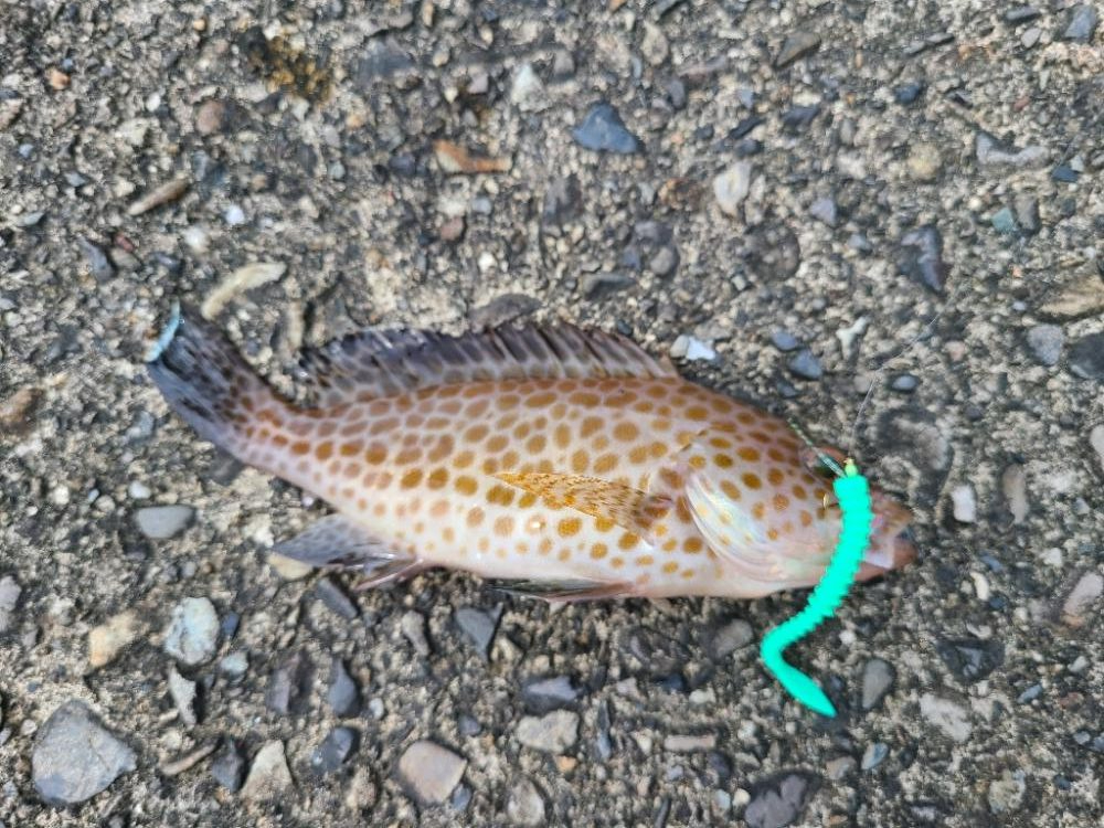 遠征(三重県前半)