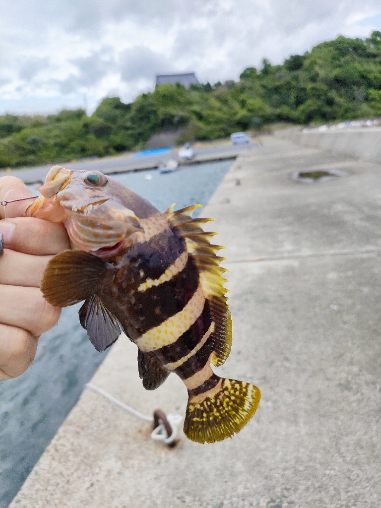 先日のリベンジ！