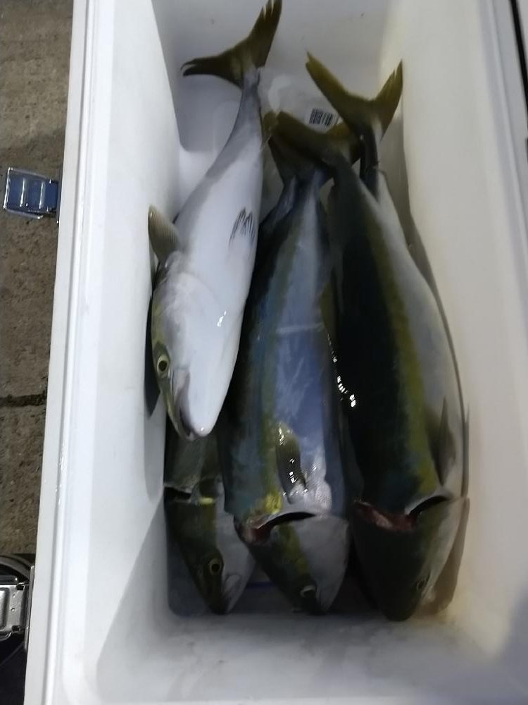 明石ジギング 午後便☆