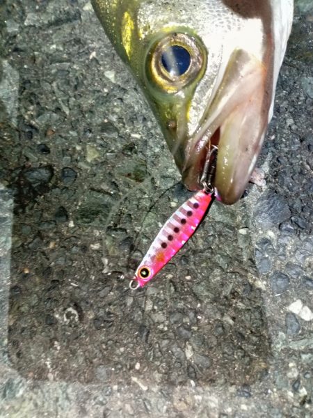 関門海峡　ライトゲーム