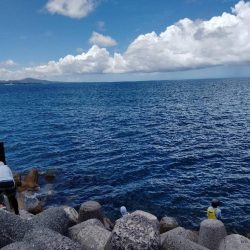 エギングin沖縄