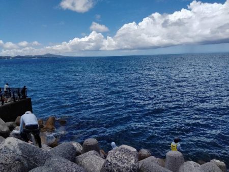 エギングin沖縄