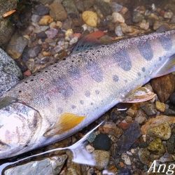 天川村は渇水期も関係なし！