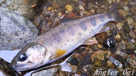 天川村は渇水期も関係なし！
