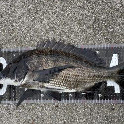 イチノ兄弟、釣果！