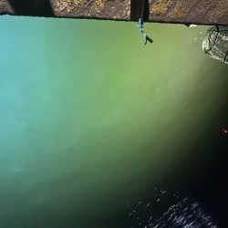 地元でヒイカ釣り