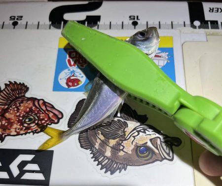 短時間暇つぶしお豆アジング