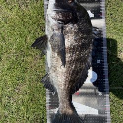 イチノ兄弟、釣果！