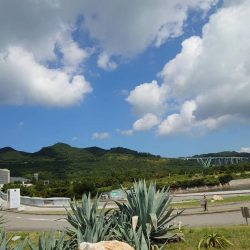 タチウオを求めて弾丸ツアー