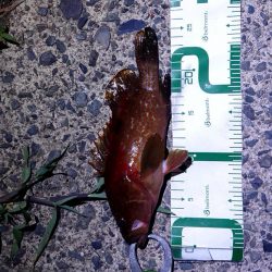 盆休み1日目の朝