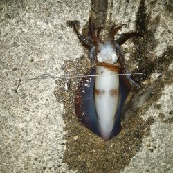 雨が降ってくる前に行って来ました。