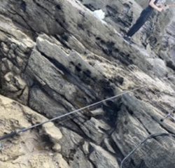 ライトショアジギング