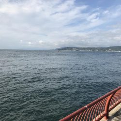 ノマセとショアジギ