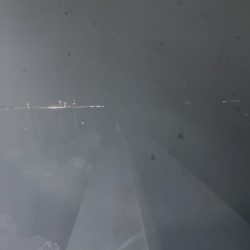 タチウオからのアオリイカ爆釣