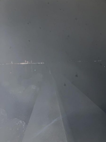 タチウオからのアオリイカ爆釣