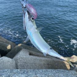 リベンジマッチがサバゲーに…