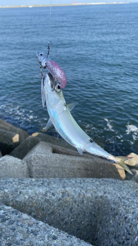 リベンジマッチがサバゲーに…