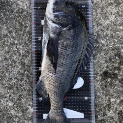 イチノ兄弟、釣果！