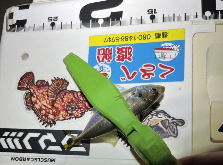 あれれ？なアジング