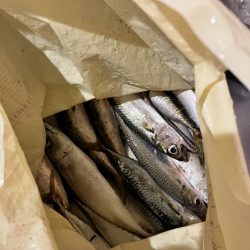 とにかくサバだらけ