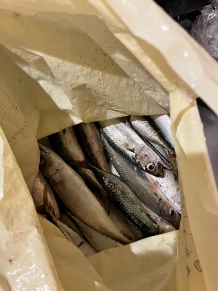 とにかくサバだらけ