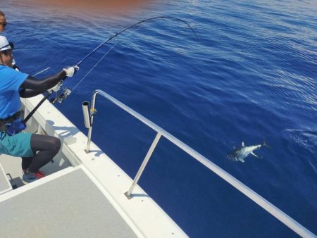 たかたかの釣り日記