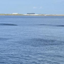 ライトショアジギング