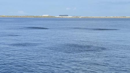 ライトショアジギング