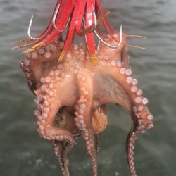 秋を感じるシーサイド