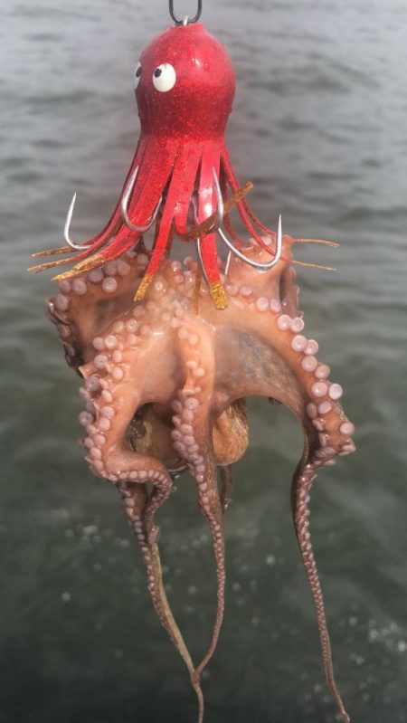 秋を感じるシーサイド