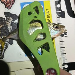 渋いスタートでした。