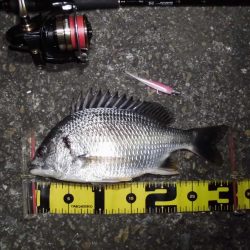 警戒心強すぎ…