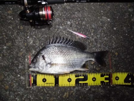 警戒心強すぎ…