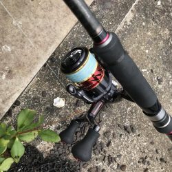 マイクロジグでガシラ釣り