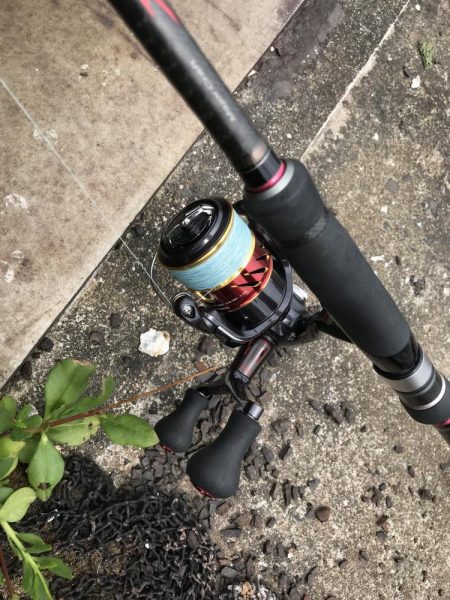 マイクロジグでガシラ釣り