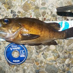 サイズはバッチリ　数はダメダメ