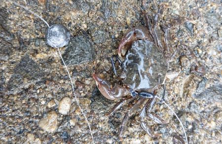 雨上がりのキャスティング
