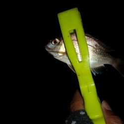 当たり主はチャリコでした～！