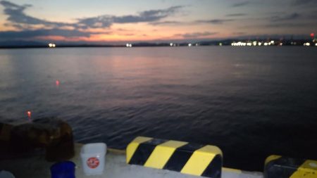 サビキついでにタチウオ