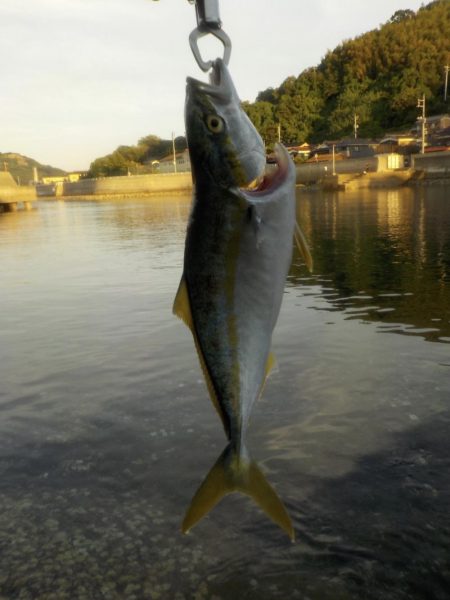 シーズン到来♪