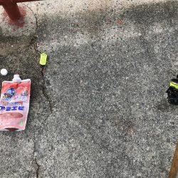 久しぶりの平磯